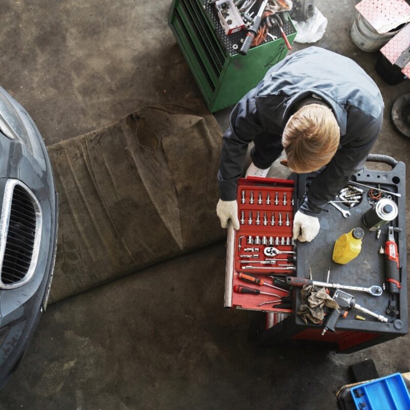 Grzechotka z nasadką chromowo-wanadową z mechanizmem zapadkowym