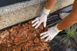 Szpilki Kołki Do Agrotkaniny Agrowłókniny Plastikowe Mocne 15cm 1 Szt - obrazek 3